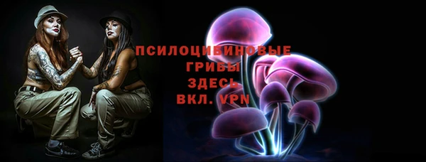 прущая мука Туринск