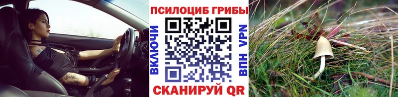 Псилоцибиновые грибы мицелий  закладка  Ноябрьск 