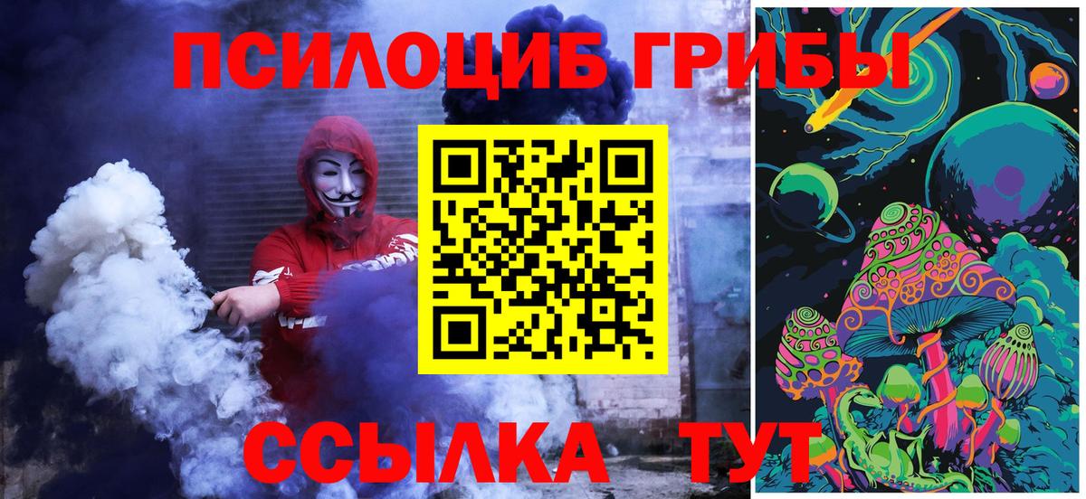 Псилоцибиновые грибы GOLDEN TEACHER Ноябрьск