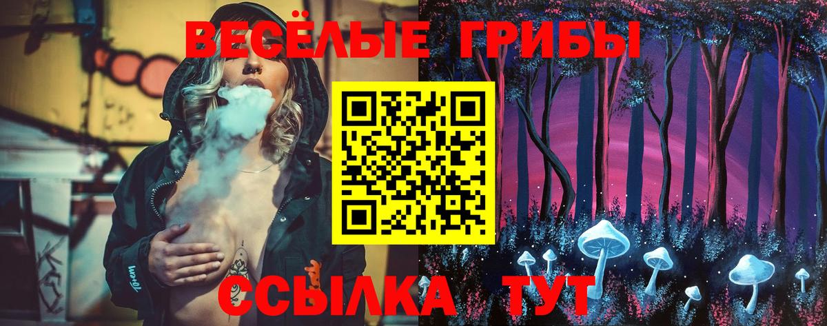 Псилоцибиновые грибы Psilocybine cubensis Ноябрьск