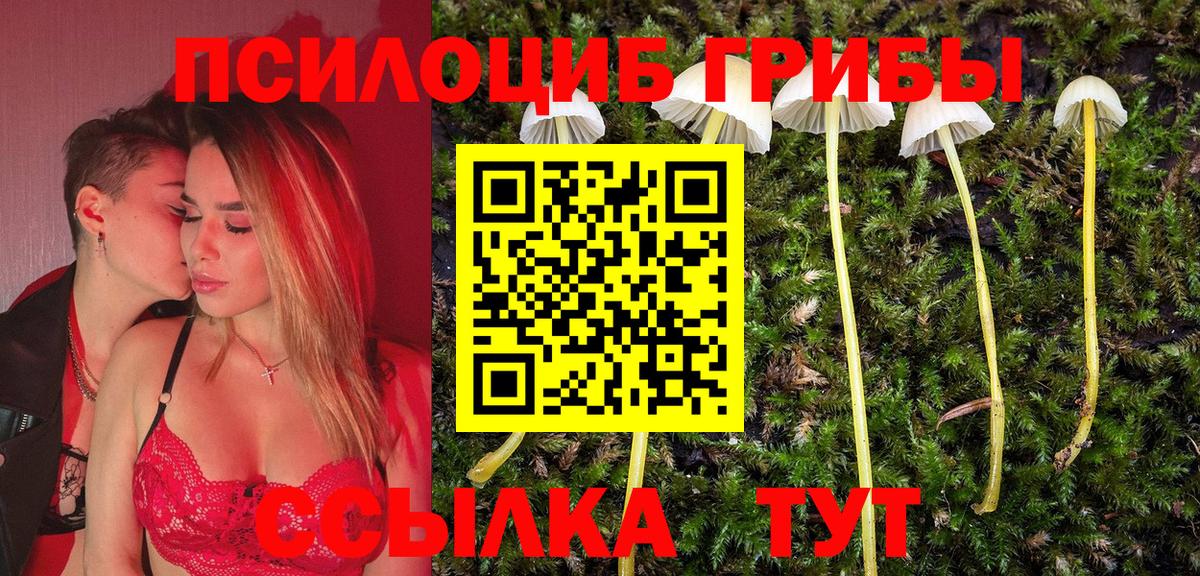 Галлюциногенные грибы ЛСД  Псилоцибиновые грибы Magic Shrooms  Вход с VPN  Ноябрьск 