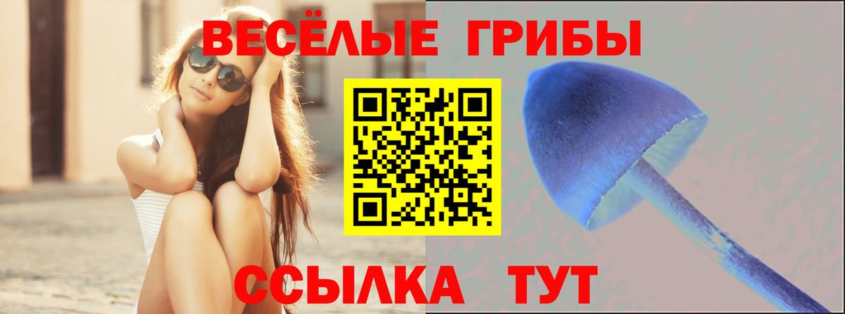Гашиш Ноябрьск